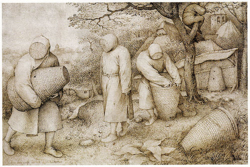 An old illustration of beekeepers. One person has climbed into a tree.