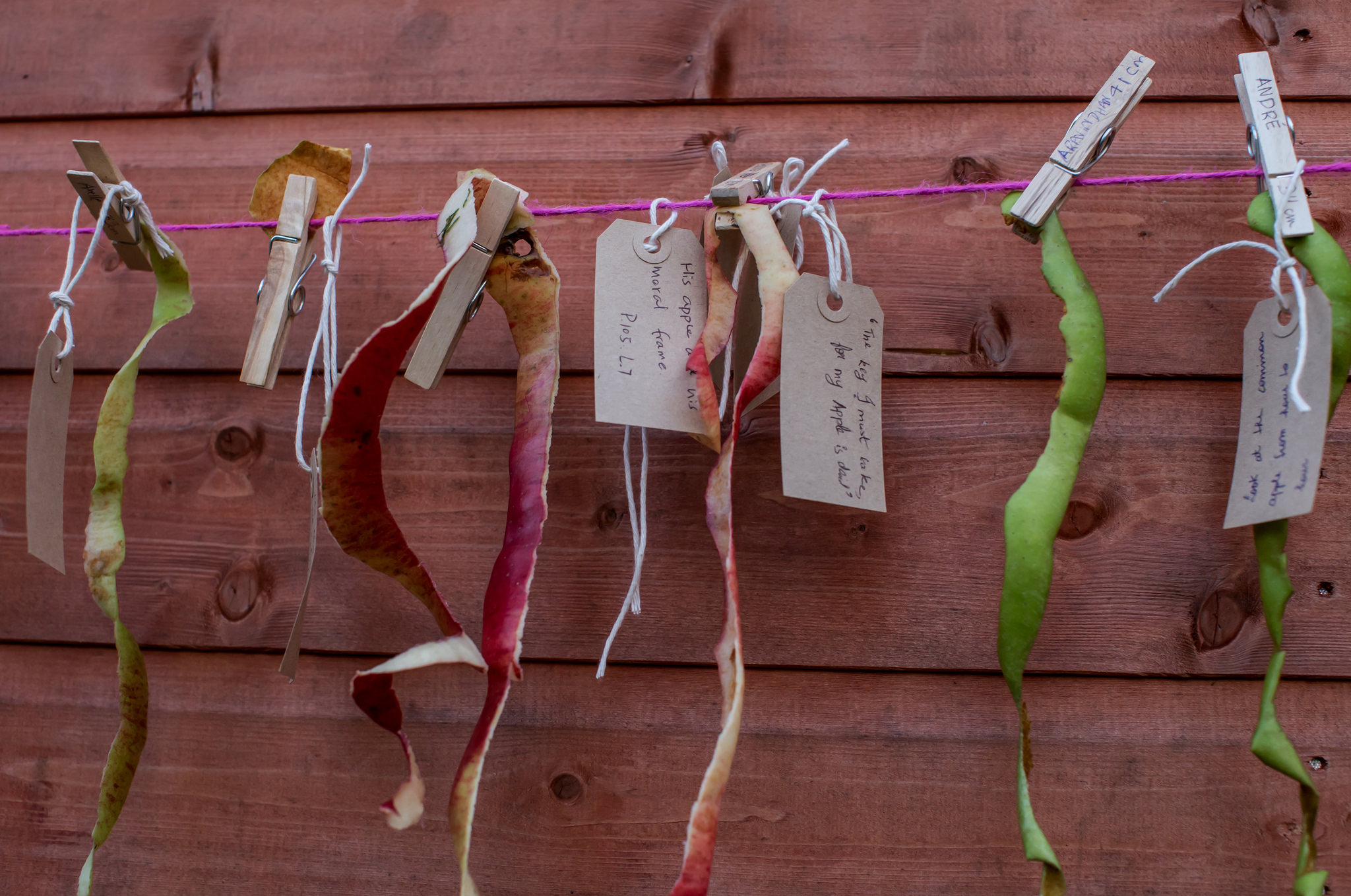 Apple peels and poems hanging from a string using clothes pegs