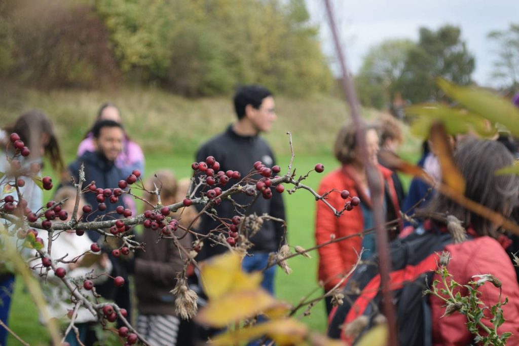 Tree branch with berries. People gathered in the background are out of focus.