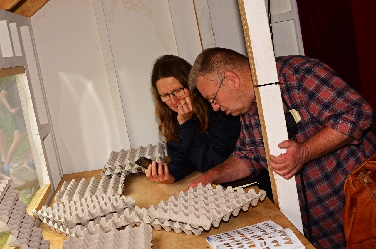 2 people inspecting large cardboard egg cartons.
