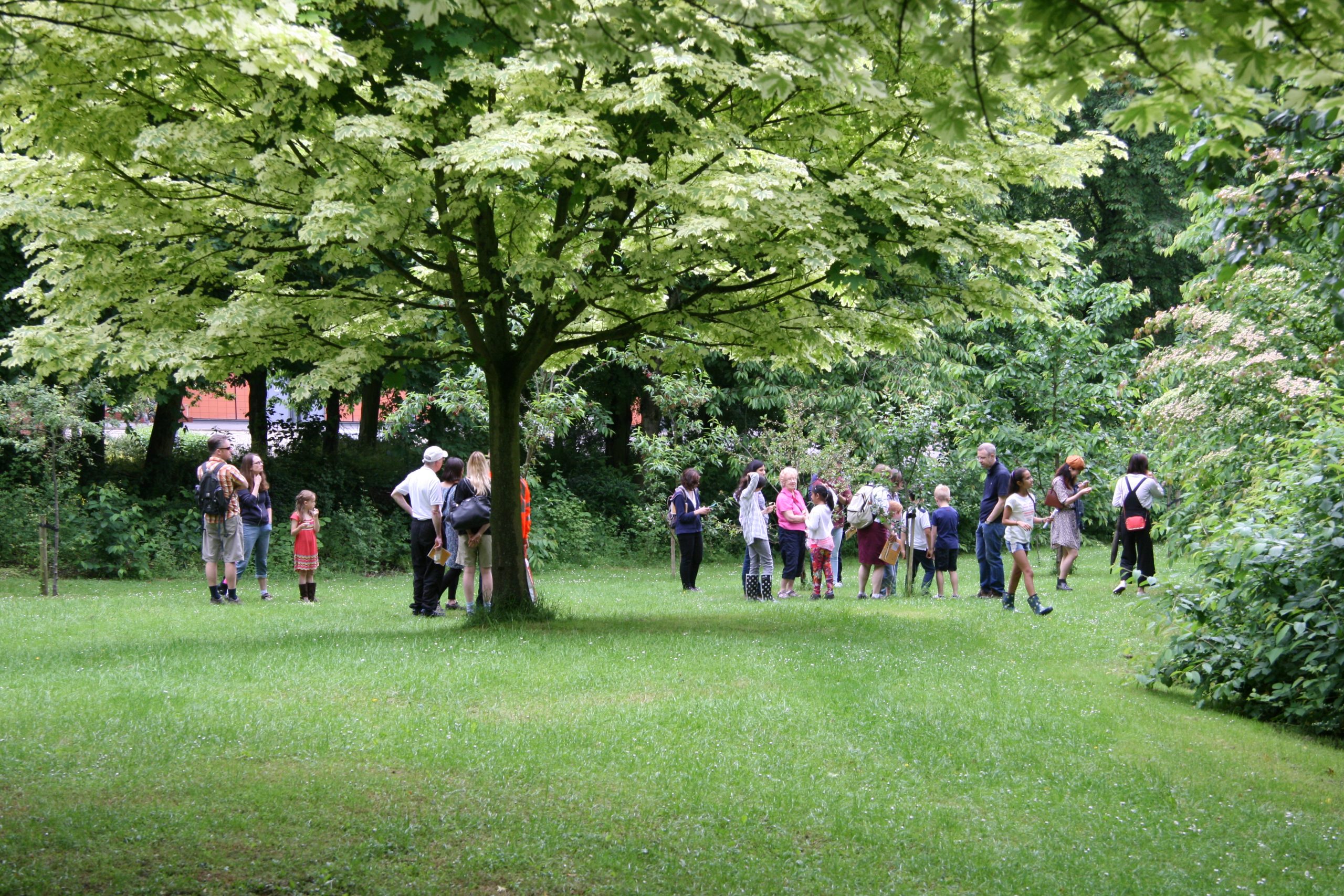A group of people gathered under a tree.