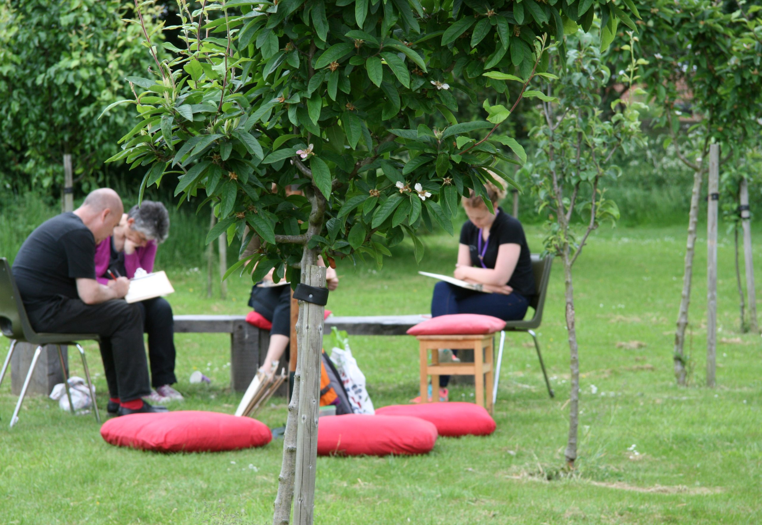 People sitting reading and writing in an orchard