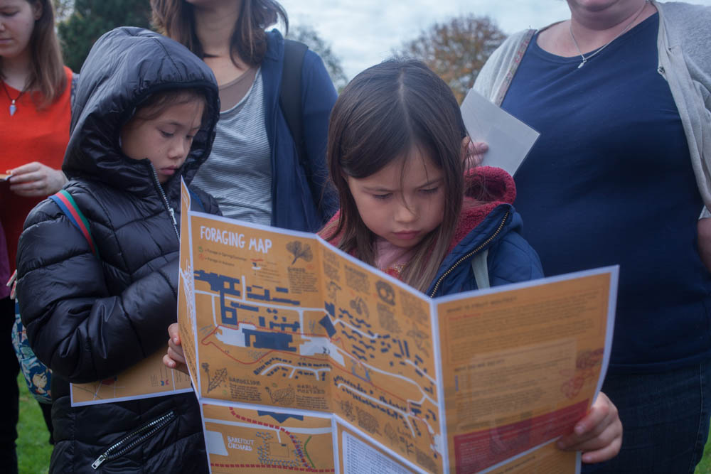Child reading Fruit Routes map