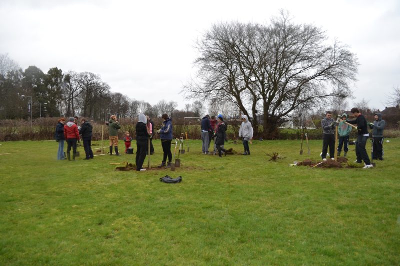 A group of people observe and participate in the planting of trees.
