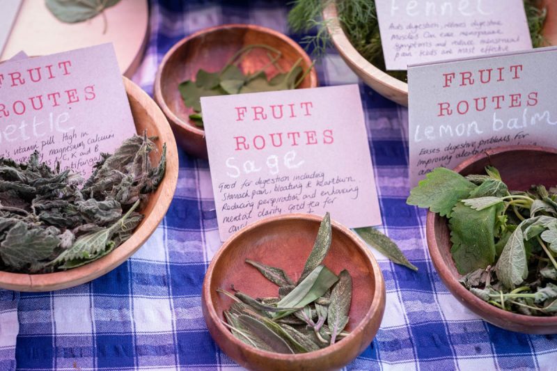 Small ceramic bowls containing leaves and petals, with hand typed labels saying 'Fruit Routes' and giving details of the plants.
