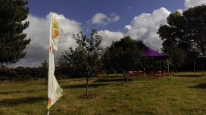 Fruit Routes feather flag flying in the setting of an orchard with blue sky