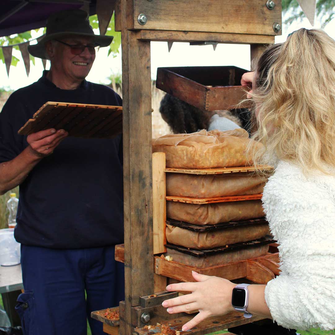 A traditional wooden apple press in use outdoors. A white middle aged man with a hat and glasses is standing behind it and a female with long blond hair is standing in front stacking a wooden try on top of the press