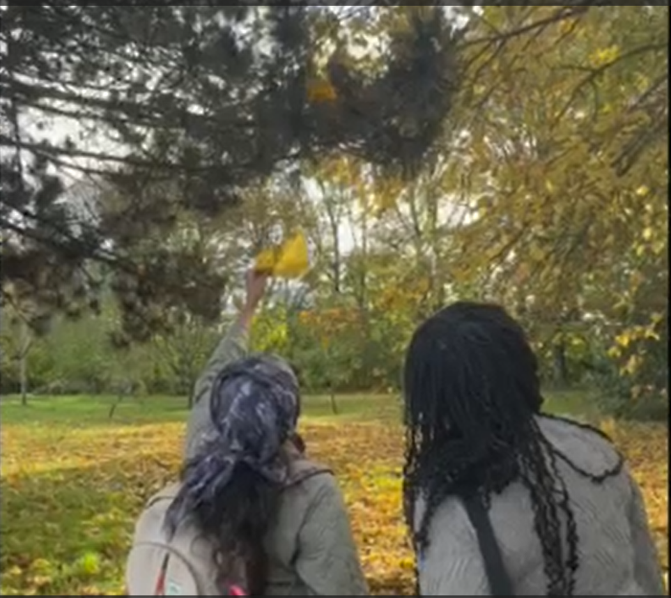 Two women pictured from behind, stood in an orchard in autumn with trees overhanging them and leaves on the ground